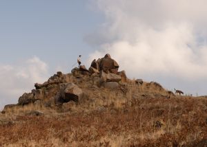 Until the Sun and Moon Go Down