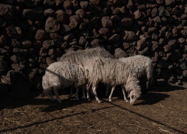 © Angela Ferrotti - Image from the Until The Sun and Moon Go Down photography project