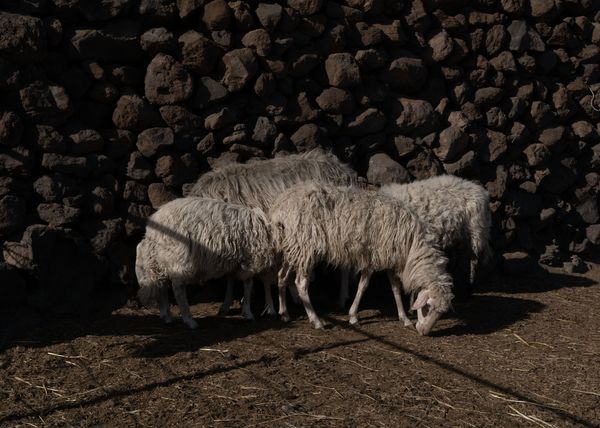 © Angela Ferrotti - Image from the Until The Sun and Moon Go Down photography project