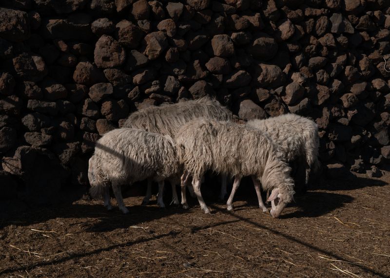 © Angela Ferrotti - Image from the Until The Sun and Moon Go Down photography project