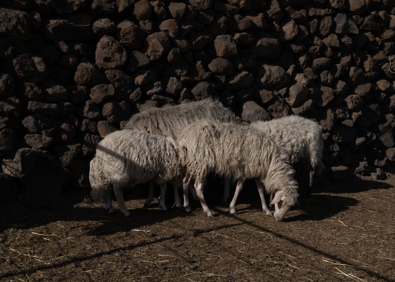 © Angela Ferrotti - Image from the Until The Sun and Moon Go Down photography project