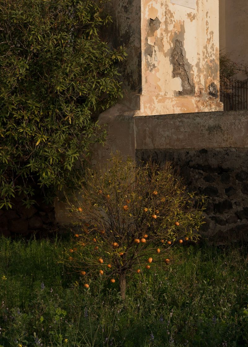 © Angela Ferrotti - Image from the Until The Sun and Moon Go Down photography project