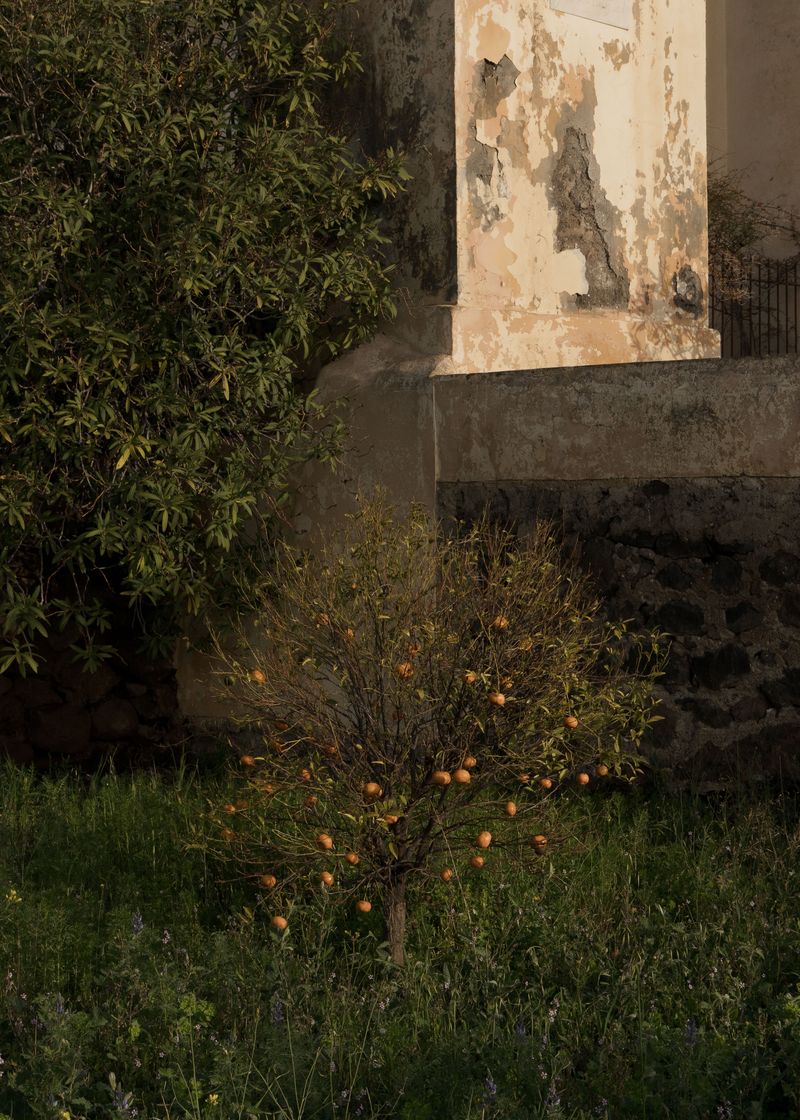 © Angela Ferrotti - Image from the Until The Sun and Moon Go Down photography project