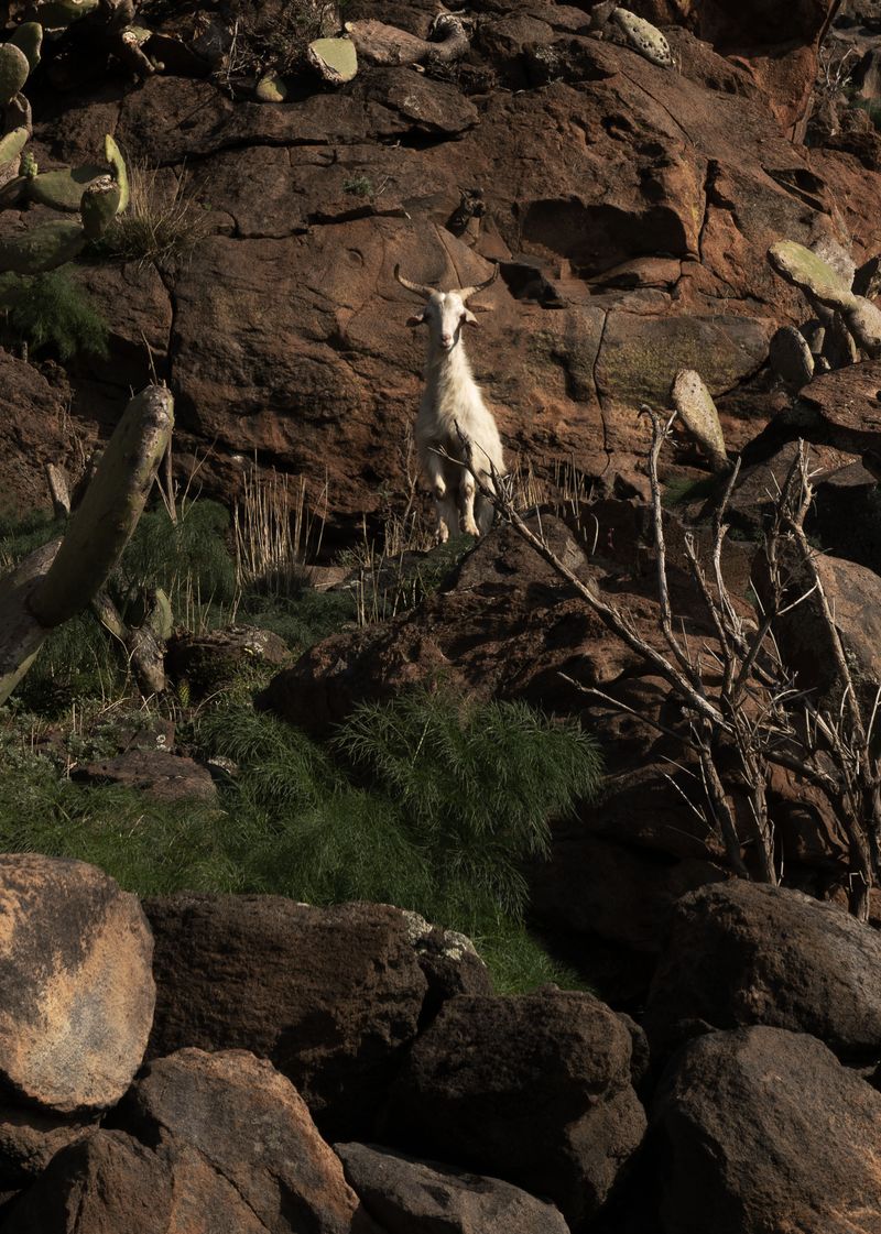 © Angela Ferrotti - Image from the Until The Sun and Moon Go Down photography project