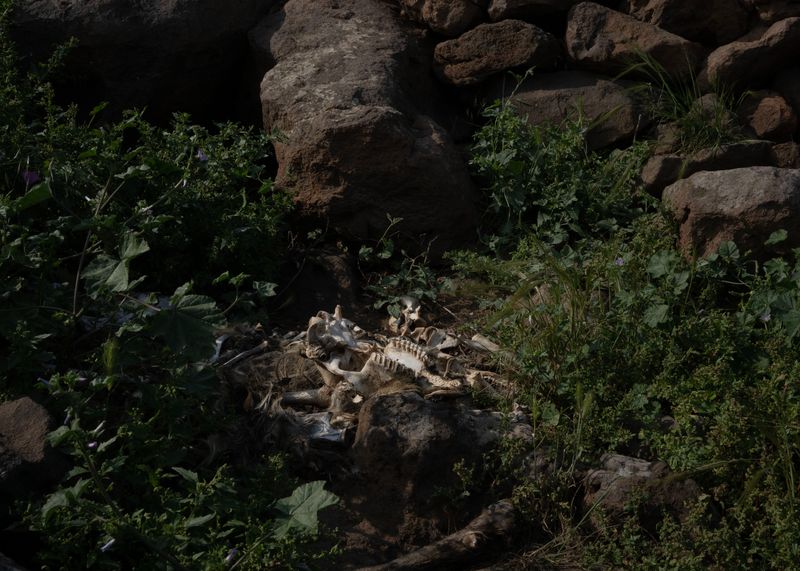 © Angela Ferrotti - Image from the Until The Sun and Moon Go Down photography project