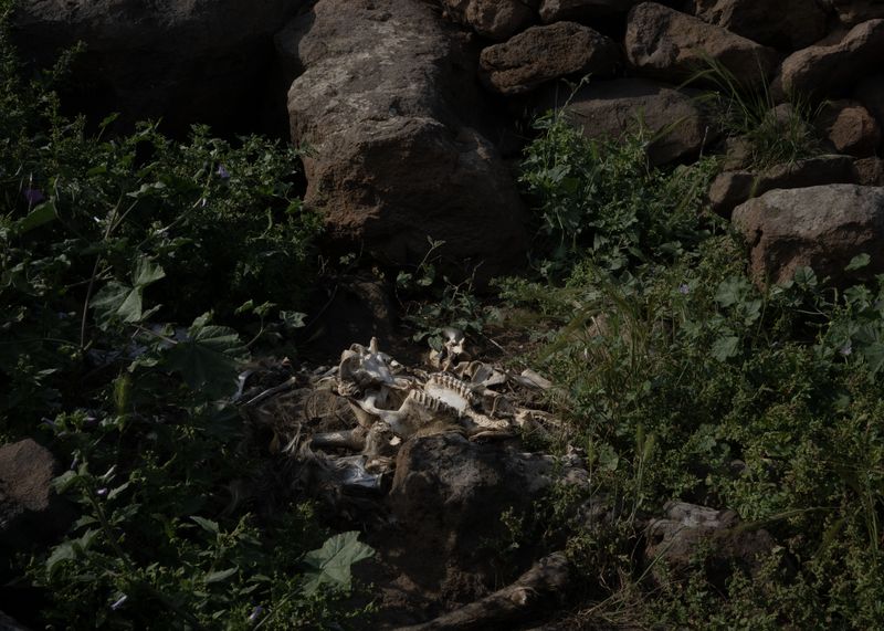 © Angela Ferrotti - Image from the Until The Sun and Moon Go Down photography project