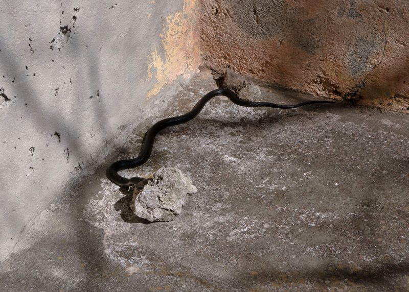 © Angela Ferrotti - Image from the Until The Sun and Moon Go Down photography project