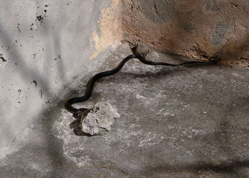 © Angela Ferrotti - Image from the Until The Sun and Moon Go Down photography project