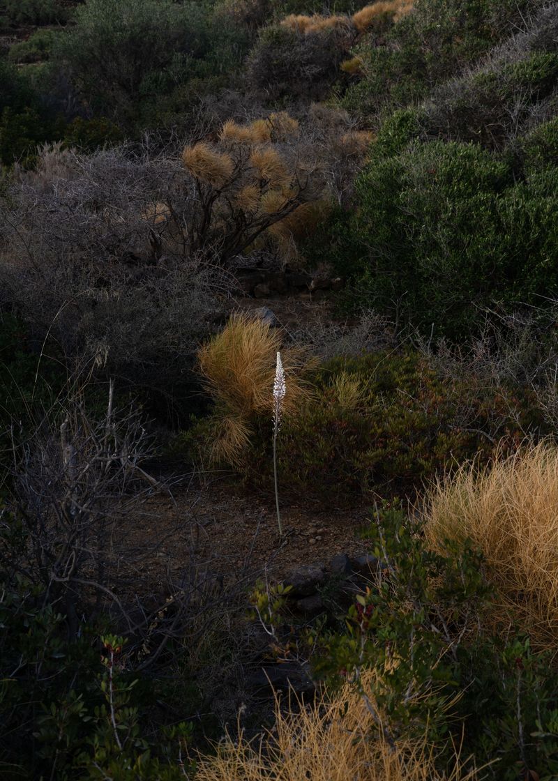 © Angela Ferrotti - Image from the Familiar photography project