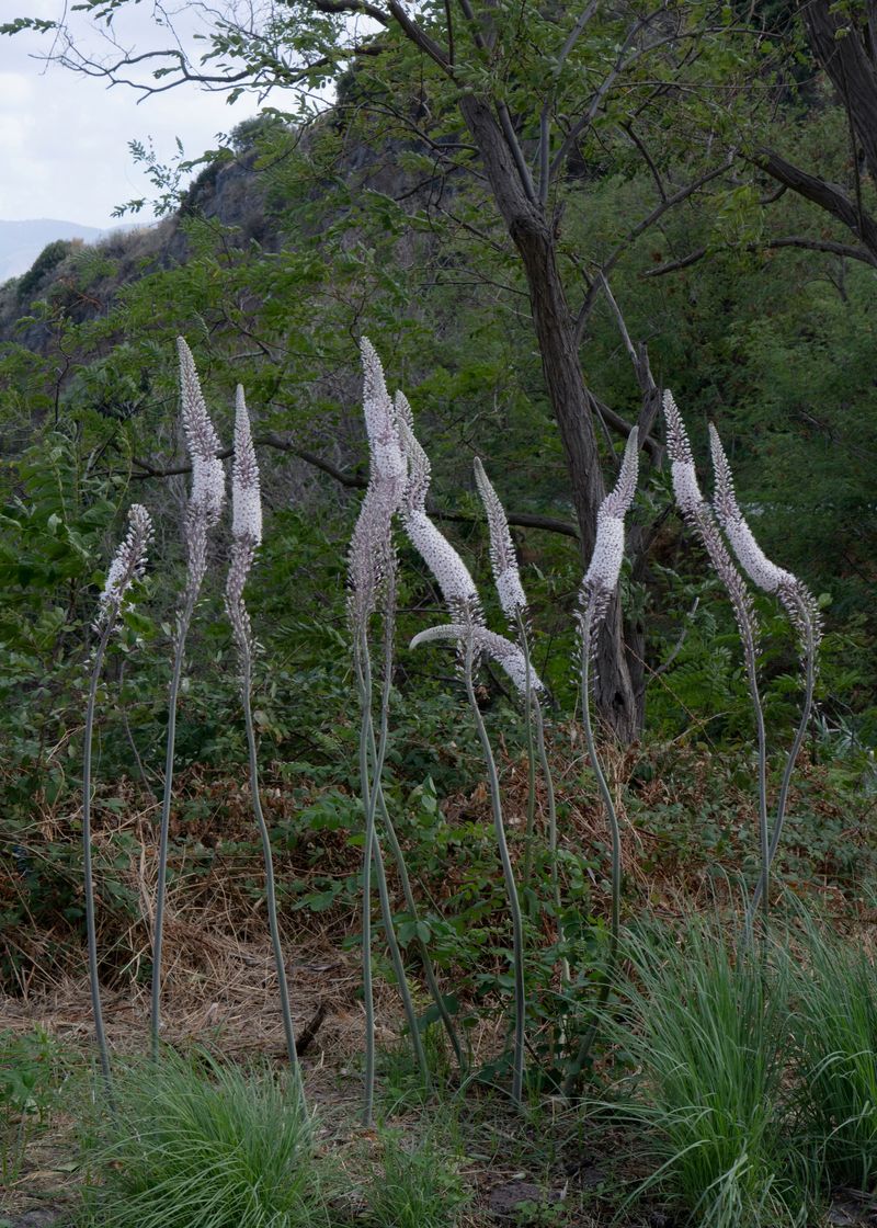 © Angela Ferrotti - Image from the Familiar photography project