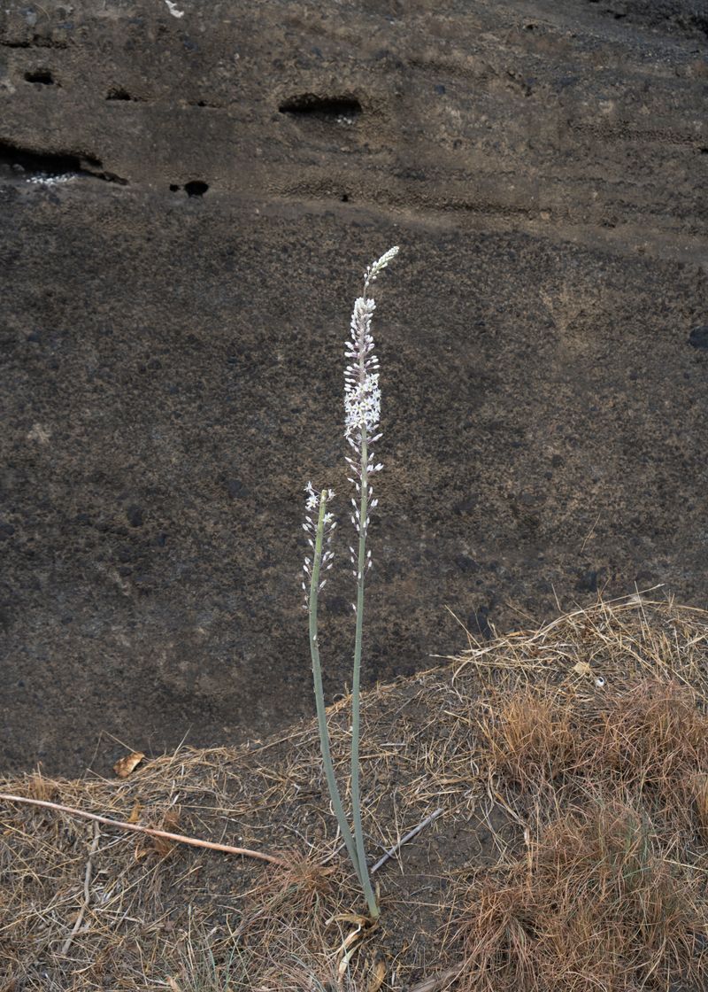 © Angela Ferrotti - Image from the Familiar photography project