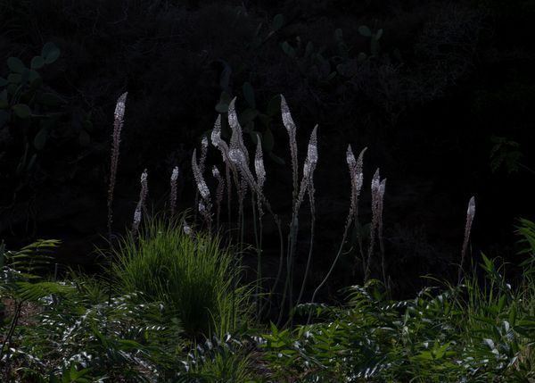 © Angela Ferrotti - Image from the Familiar photography project