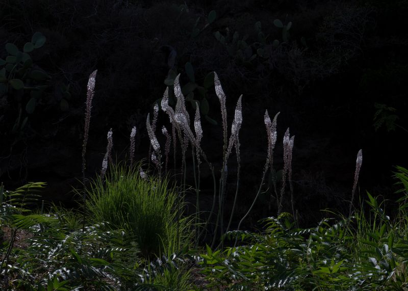 © Angela Ferrotti - Image from the Familiar photography project