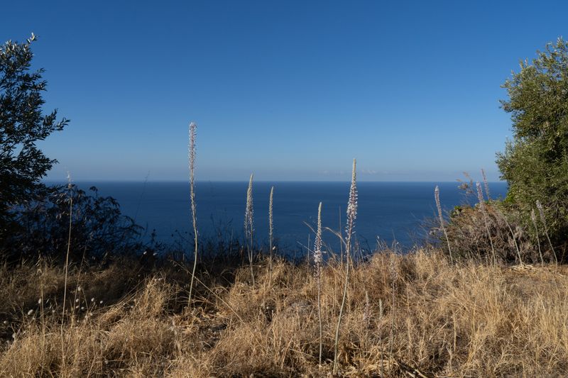 © Angela Ferrotti - Image from the Familiar photography project