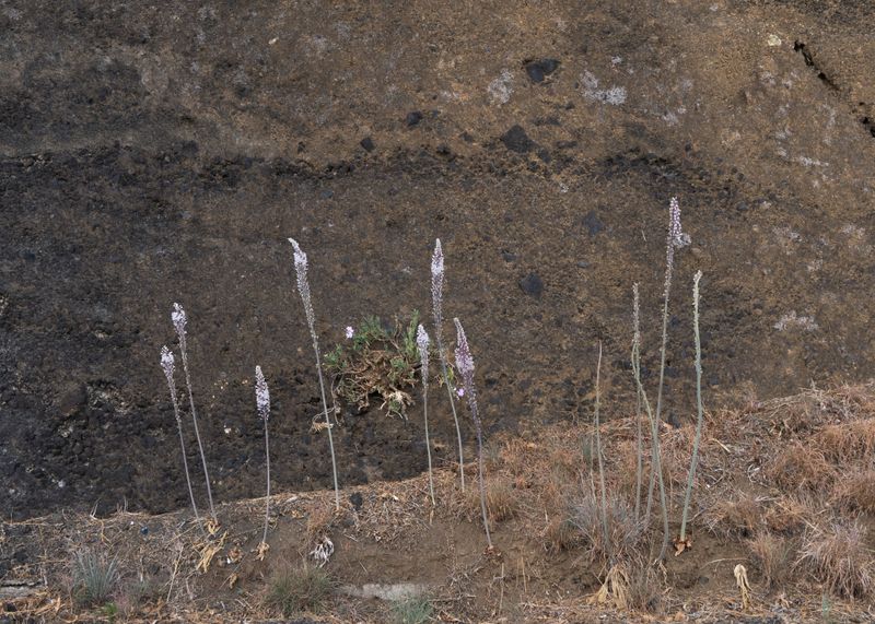 © Angela Ferrotti - Image from the Familiar photography project