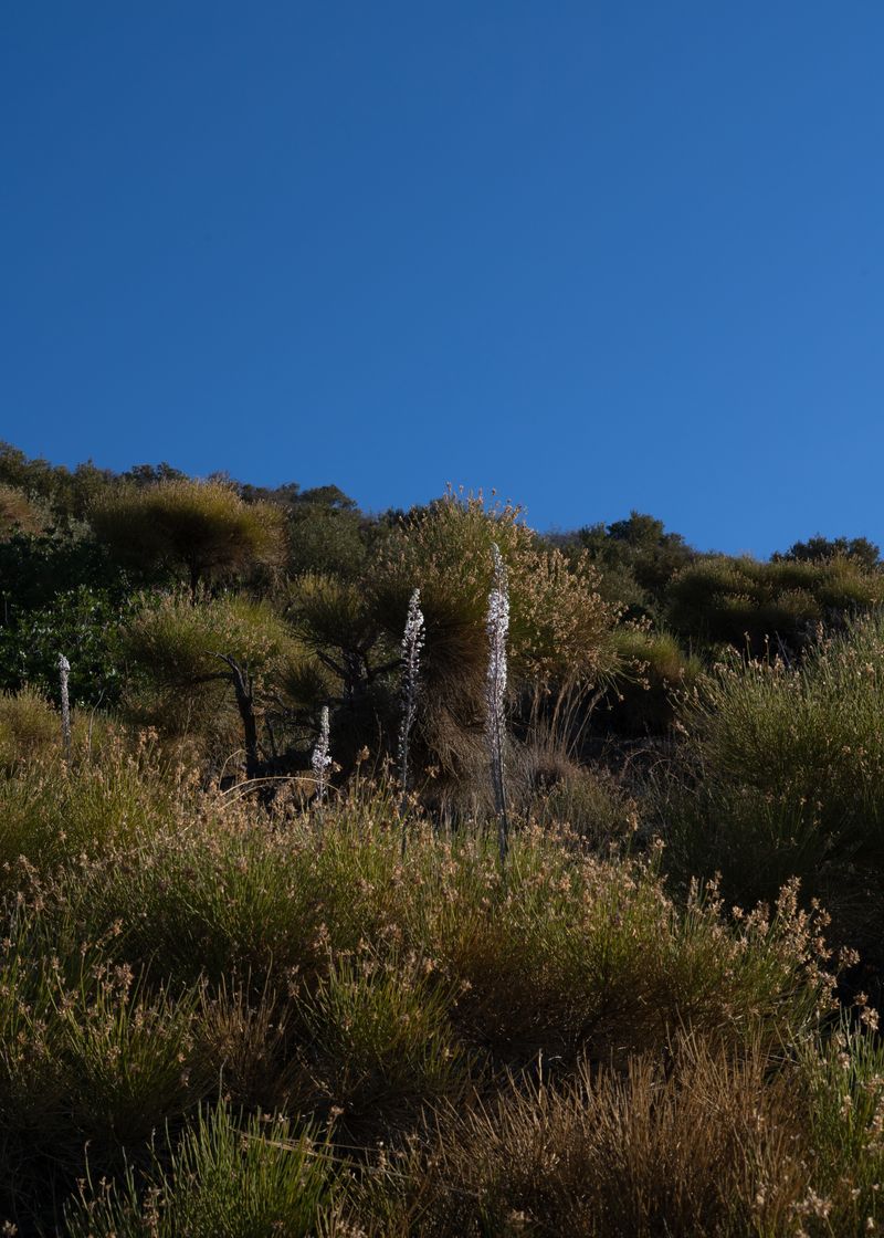 © Angela Ferrotti - Image from the Familiar photography project