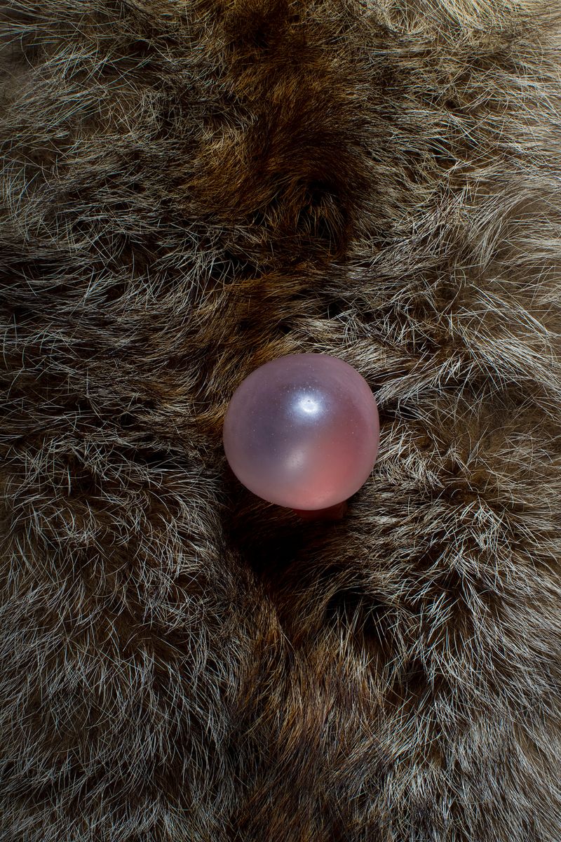 © Eva Casanueva - Image from the Intento de Brillar (Attempting to shine) photography project