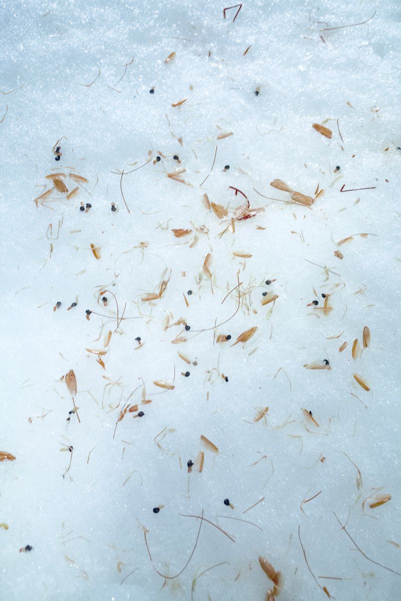 © Eva Casanueva - Image from the Intento de Brillar (Attempting to shine) photography project