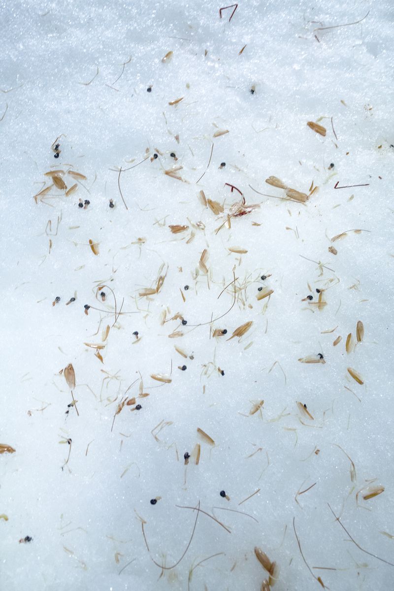 © Eva Casanueva - Image from the Intento de Brillar (Attempting to shine) photography project