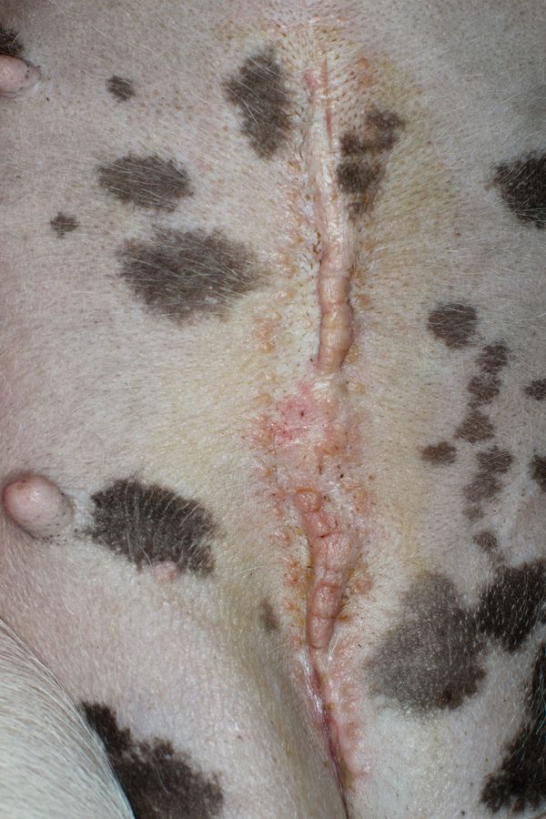 © Eva Casanueva - Image from the Intento de Brillar (Attempting to shine) photography project