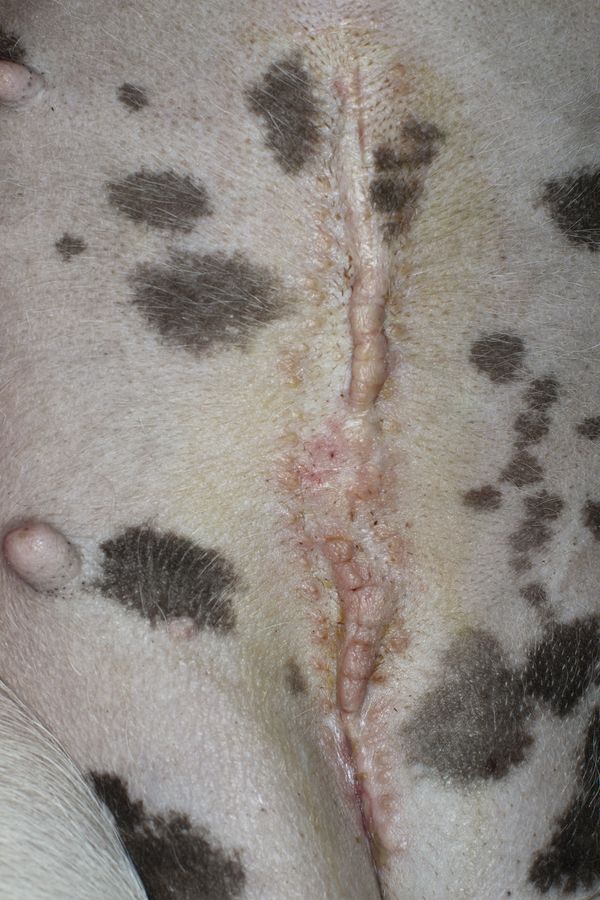 © Eva Casanueva - Image from the Intento de Brillar (Attempting to shine) photography project