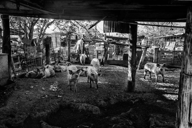 © Michael Santiago - Image from the Stolen Land, Stolen Future photography project