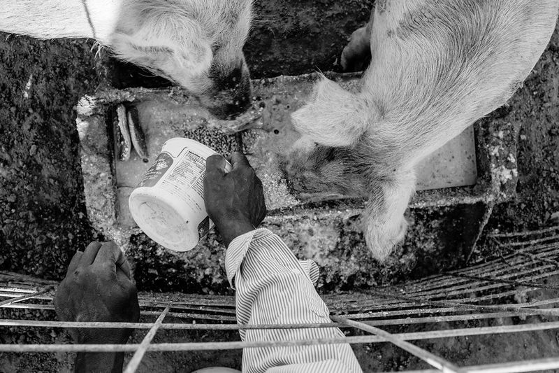 © Michael Santiago - Image from the Stolen Land, Stolen Future photography project