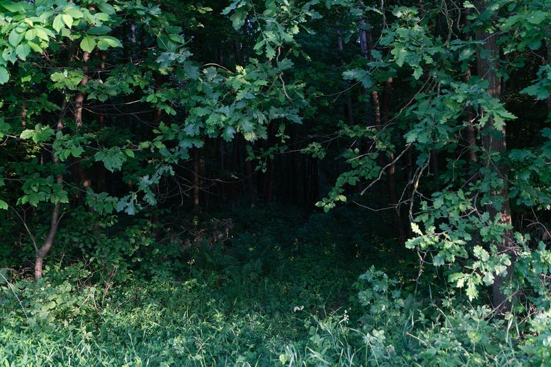 © Anna Zofia Bacik - Image from the Welcome to the Polish Countryside photography project