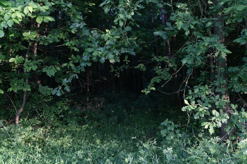 © Anna Zofia Bacik - Image from the Welcome to the Polish Countryside photography project