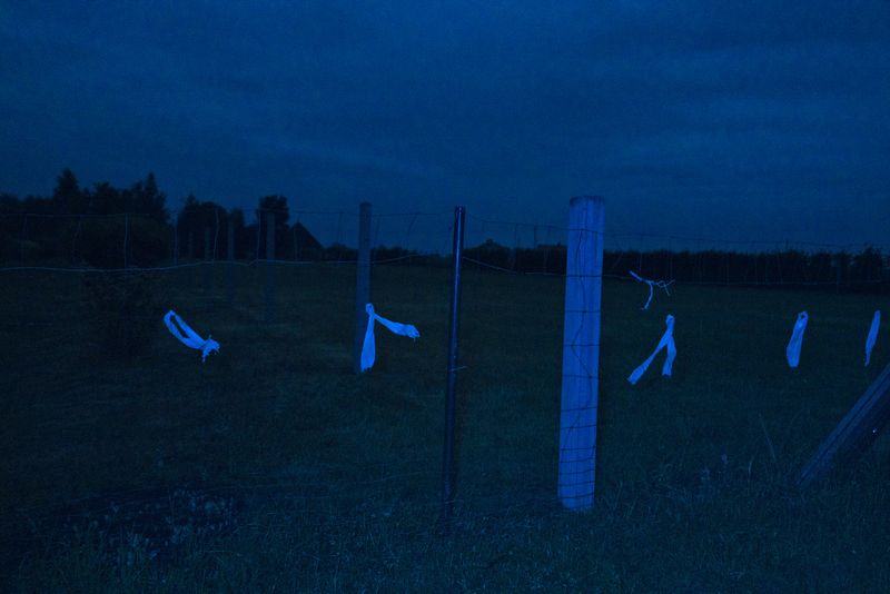 © Anna Zofia Bacik - Image from the Welcome to the Polish Countryside photography project