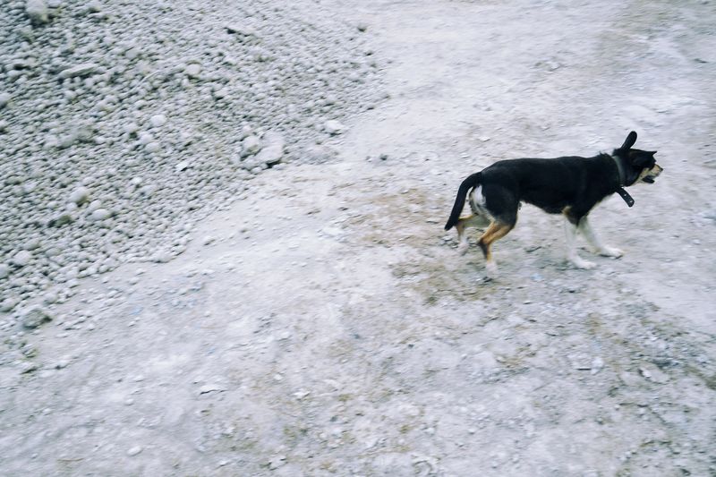 © Anna Zofia Bacik - Image from the Welcome to the Polish Countryside photography project