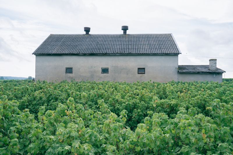 © Anna Zofia Bacik - Image from the Welcome to the Polish Countryside photography project