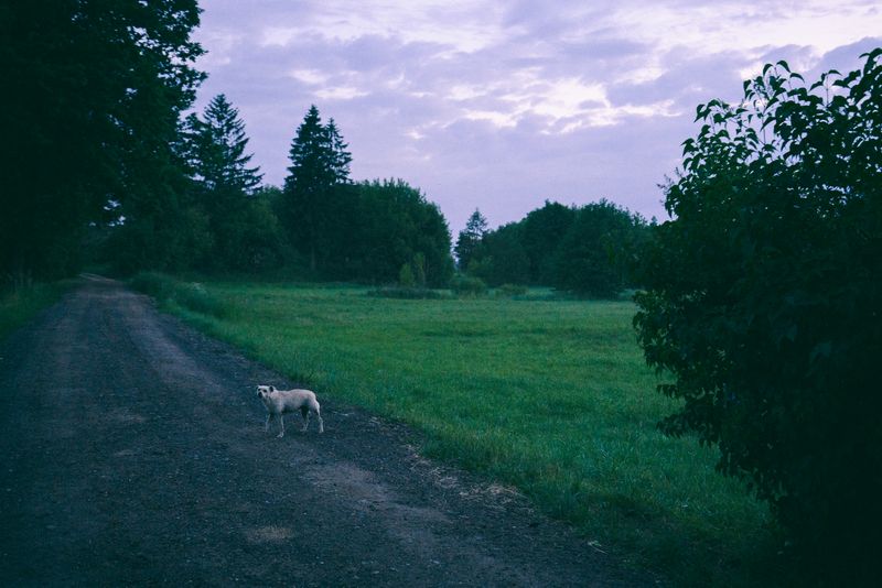 © Anna Zofia Bacik - Image from the Welcome to the Polish Countryside photography project