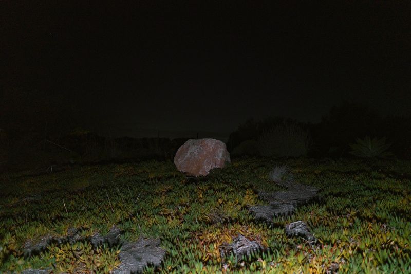 © Anna Zofia Bacik - Image from the Ciao, ciao… now the darkness will take you photography project