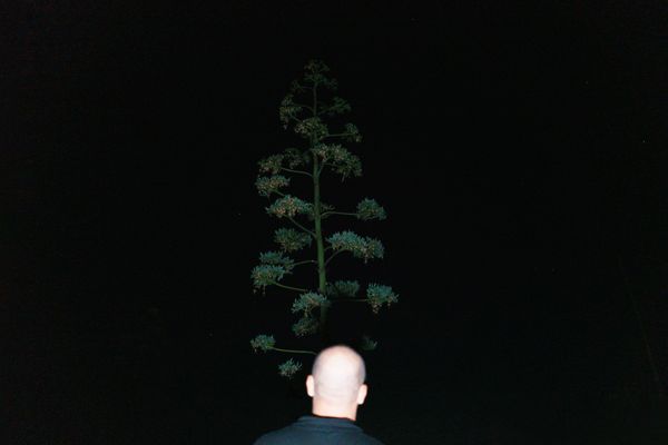 © Anna Zofia Bacik - Image from the Ciao, ciao… now the darkness will take you photography project