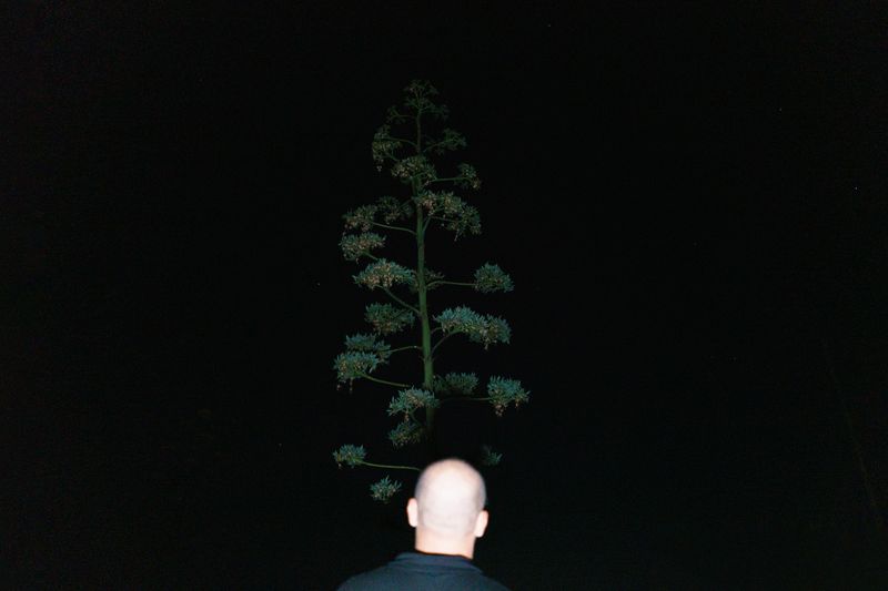 © Anna Zofia Bacik - Image from the Ciao, ciao… now the darkness will take you photography project