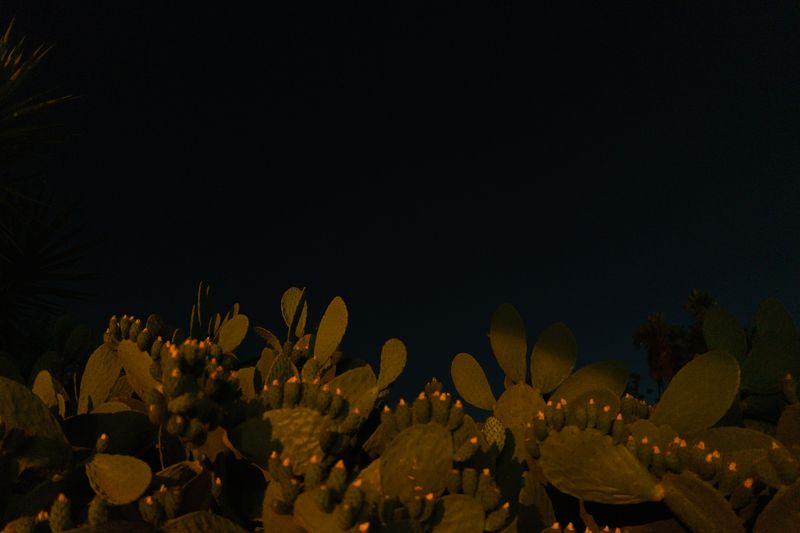 © Anna Zofia Bacik - Image from the Ciao, ciao… now the darkness will take you photography project