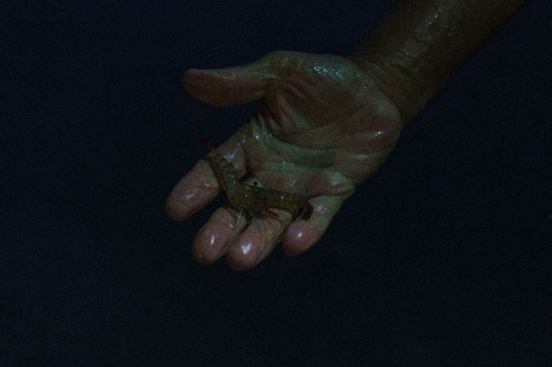 © Anna Zofia Bacik - Image from the End of the Season photography project