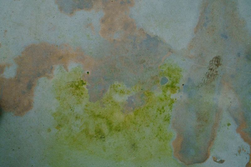 © Anna Zofia Bacik - Image from the End of the Season photography project