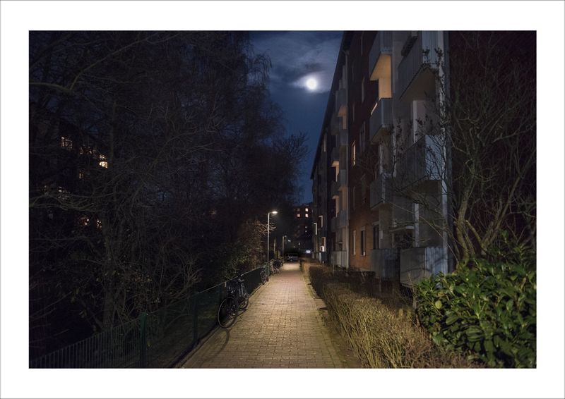 © Stefanie Silber - Image from the Eternal Nestling photography project