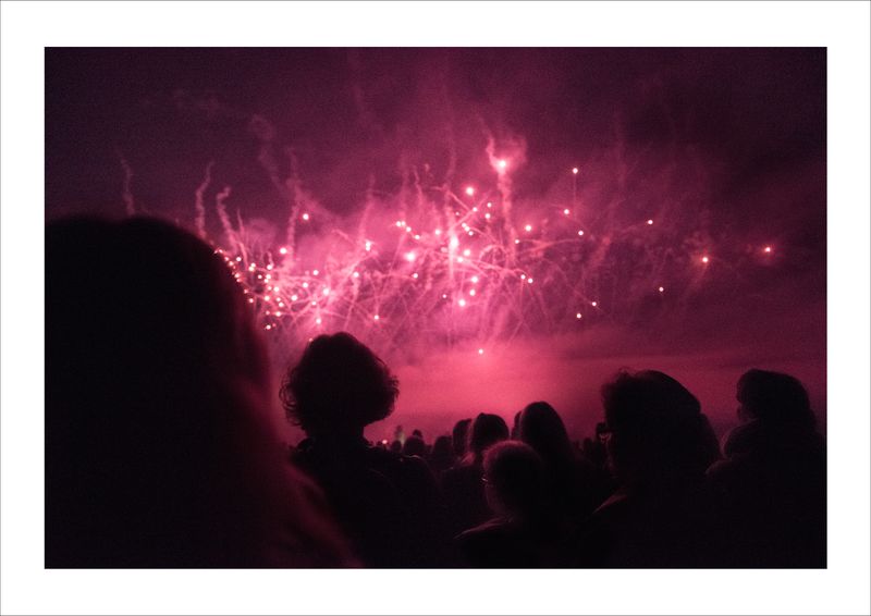 © Stefanie Silber - Image from the Eternal Nestling photography project