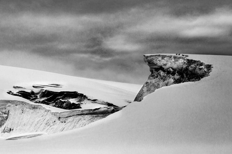 © Pia Harboure - Fulmars gathered, Portal Point, Antarctica, 2021.