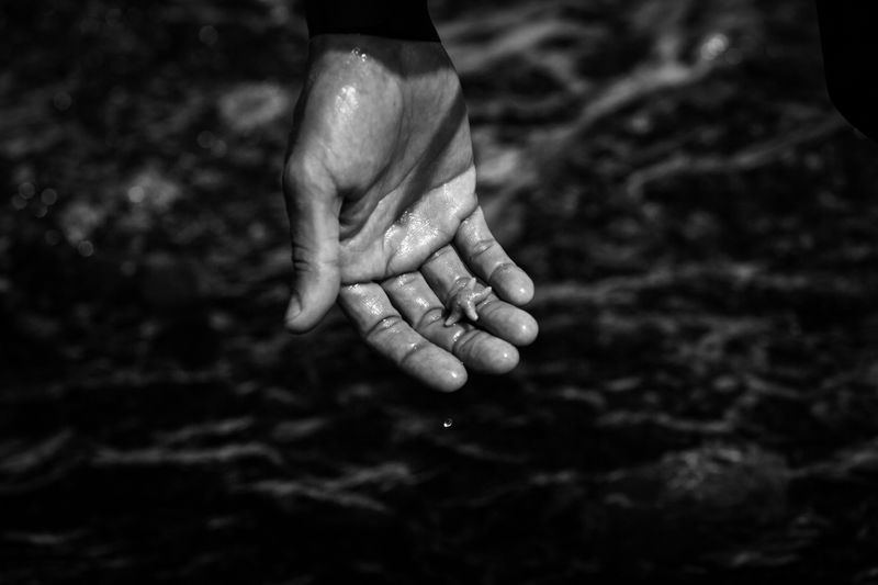 © Pia Harboure - A starfish is held at hand by one of the teams expeditions. Half Moon Bay, Antarctica, 2021.