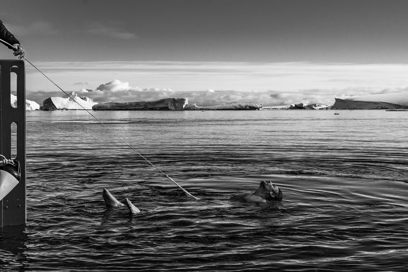 © Pia Harboure - A man during the "polar plunge" ceremony, Petermann Island, Antarctica, 2022.