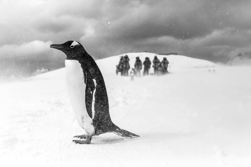 © Pia Harboure - Image from the TIME DOESN´T SEEM TO FREEZE HERE ANYMORE photography project
