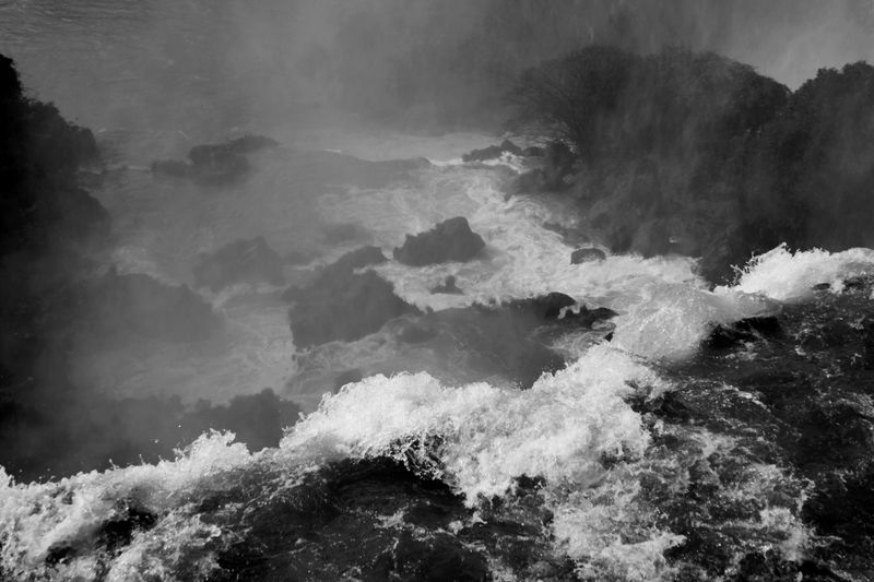 © Pia Harboure - "Dear Diary: in the times of Corona" . Misiones, Argentina.