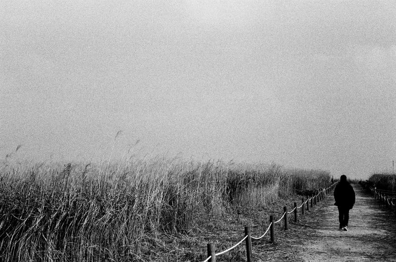 © Jaewon Choi - Image from the Isolation photography project