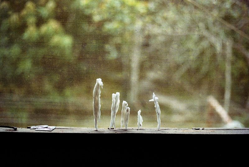 © Hannah Wong - Image from the Había Suelo Aqui Antes photography project