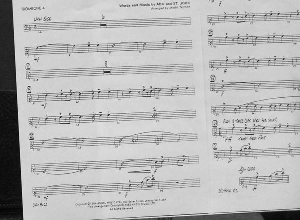 © NiaR.Cosby - Image from the Sound in Motion photography project