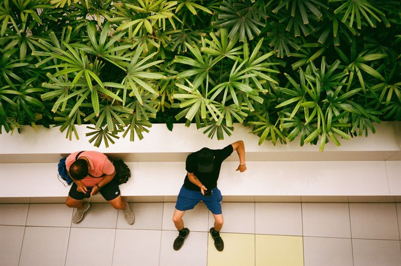 © Nicole "Brody Rennt" Koutlis - No title-Mall